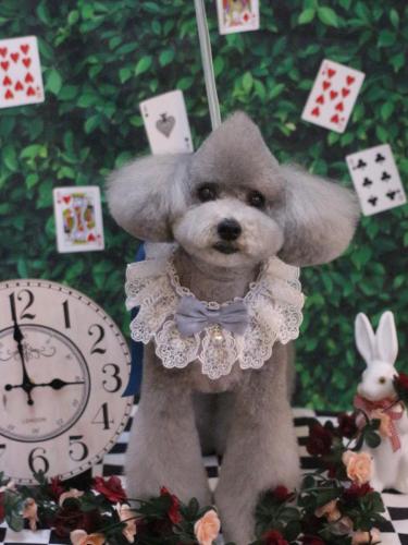 20250415宇宙くん